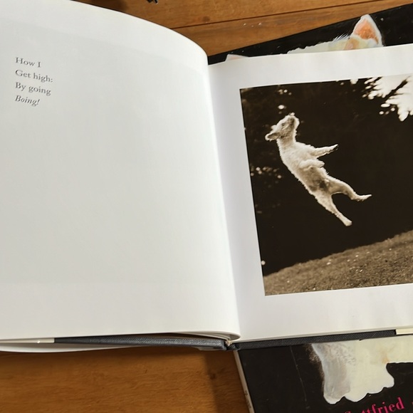 True portraits of dogs book - Picture 3 of 7